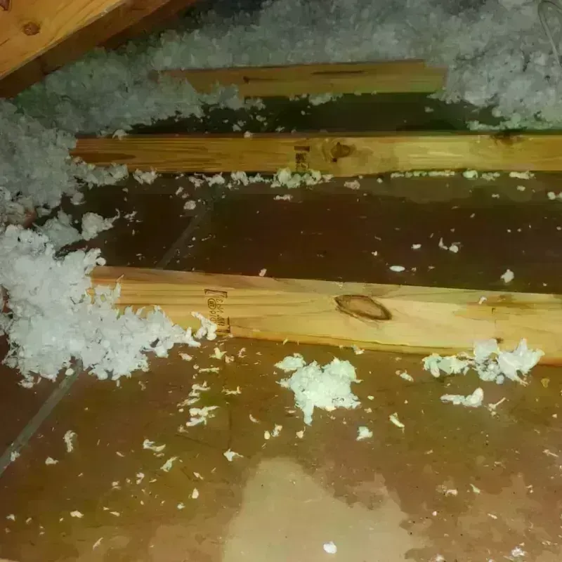 Attic Water Damage in Nora Springs, IA